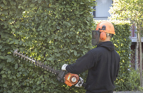 Mitarbeiter schneidet die Hecke an einer gewerblichen Außenanlage.