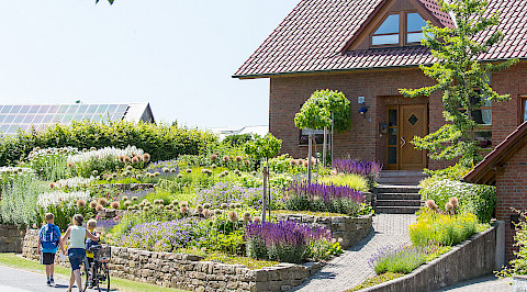 Vorgarten mit Natursteinmauer und Staudenpflanzung in Bad Driburg.